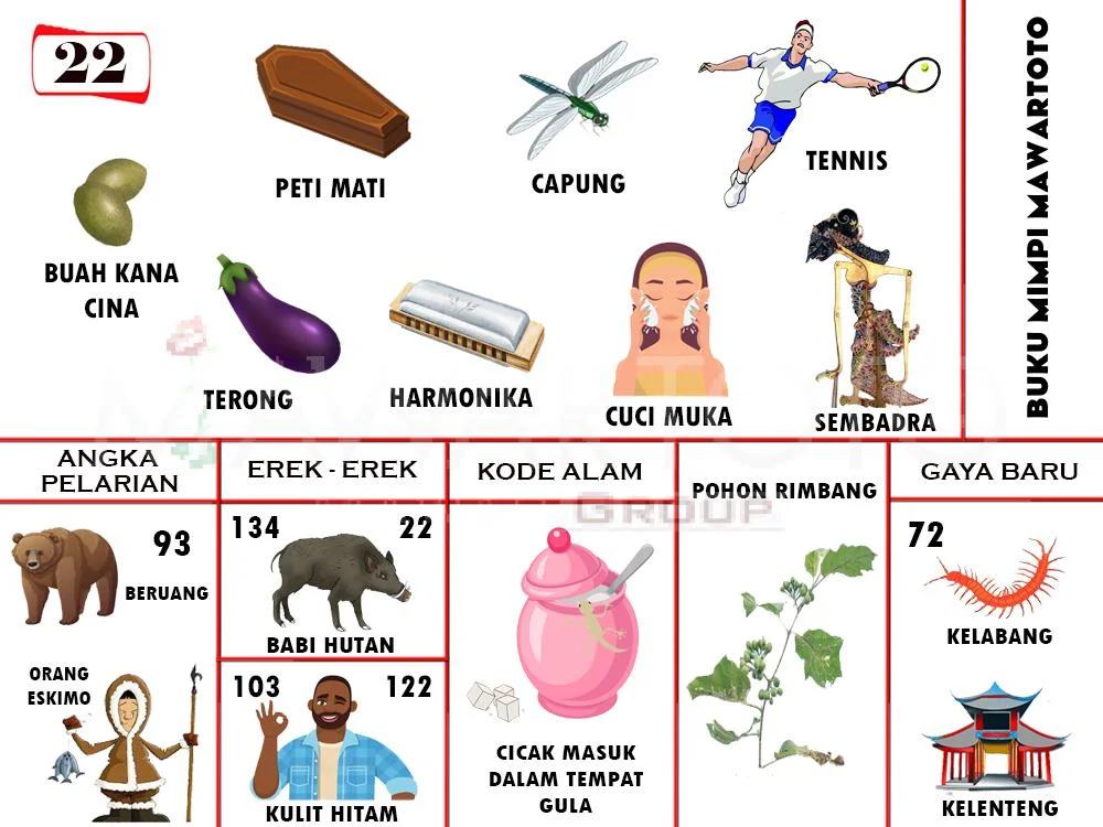 buku mimpi erek erek togel 22
